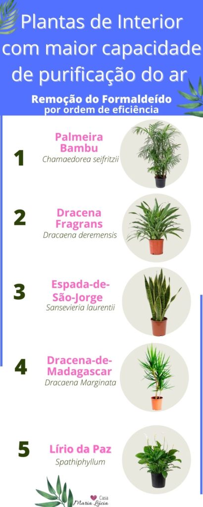plantas para melhorar a qualidade do ar interior