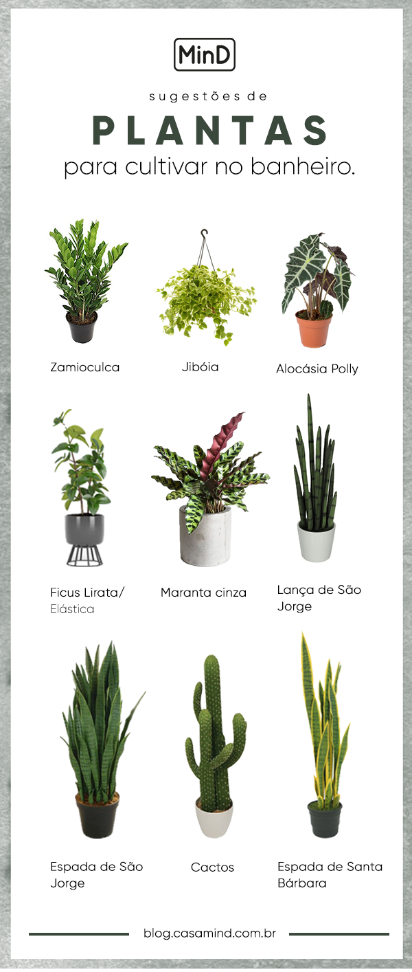 plantas para banheiro pequeno