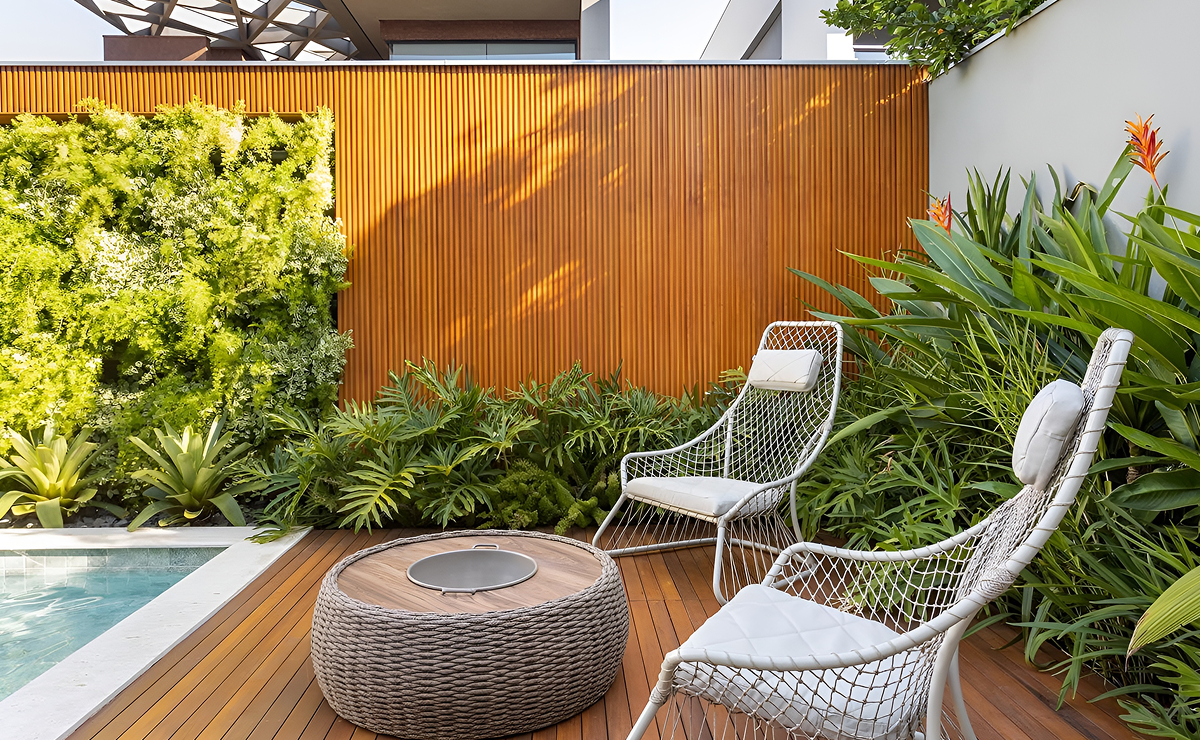 plantas que gostam de sombra