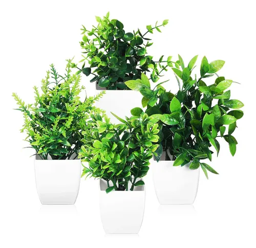 plantas com folhagem grande