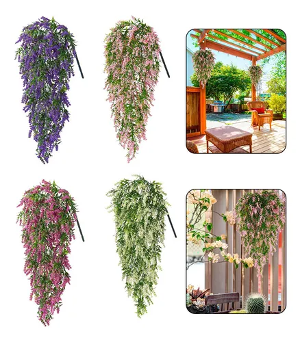 plantas que se adaptam a sol e sombra