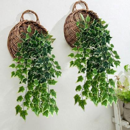 plantas com baixa manutenção