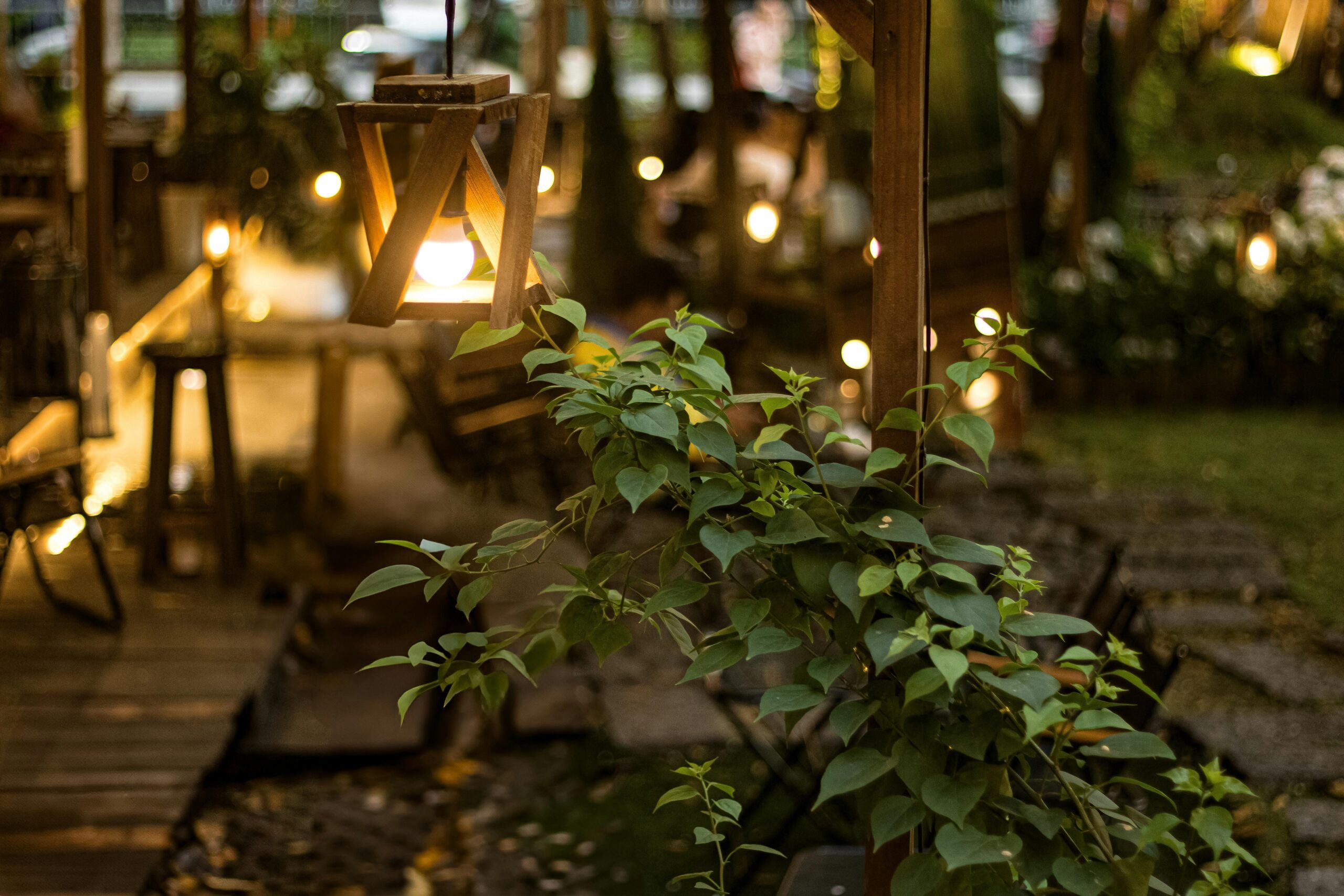 plantas tropicais para decoração