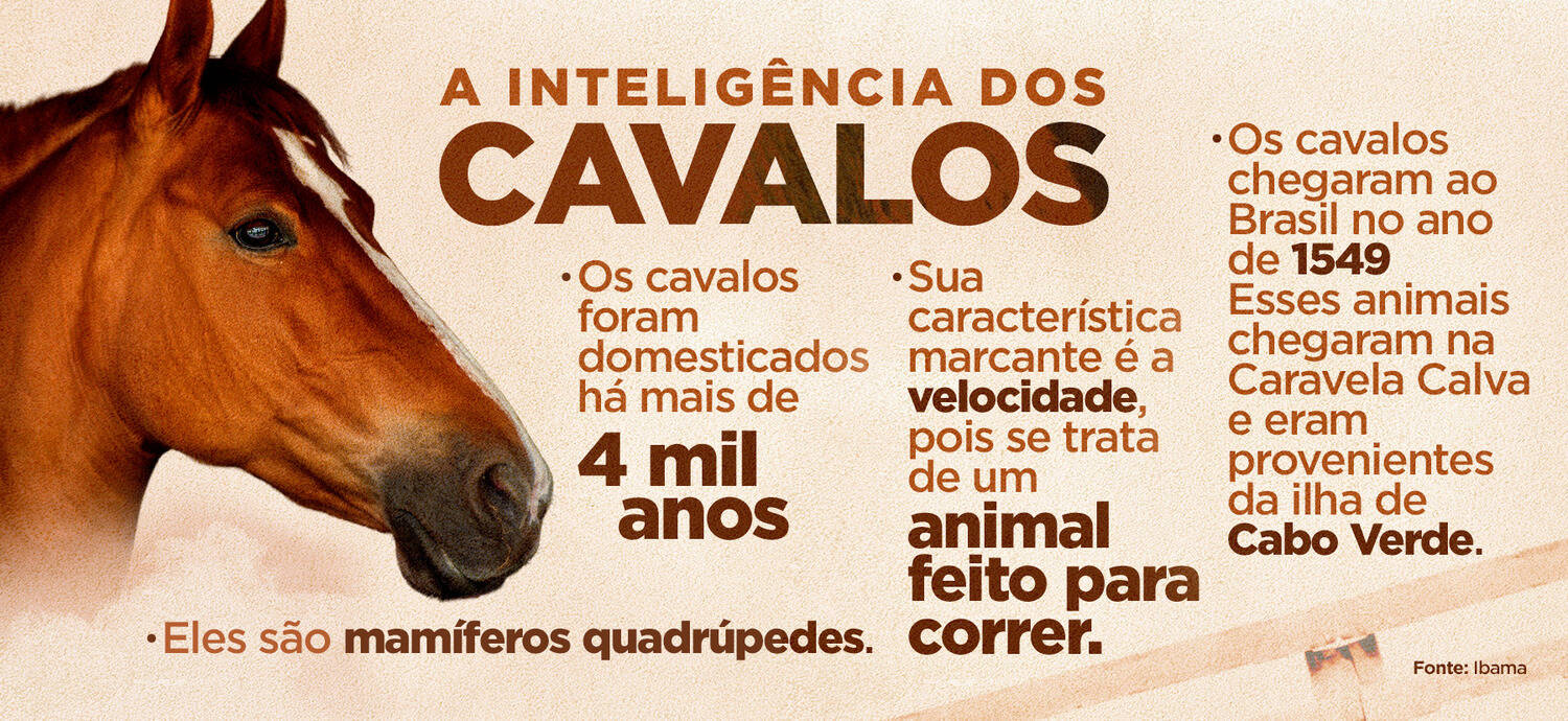 como medir inteligência animal