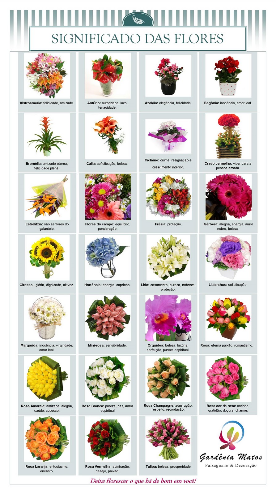 linguagem das flores amor