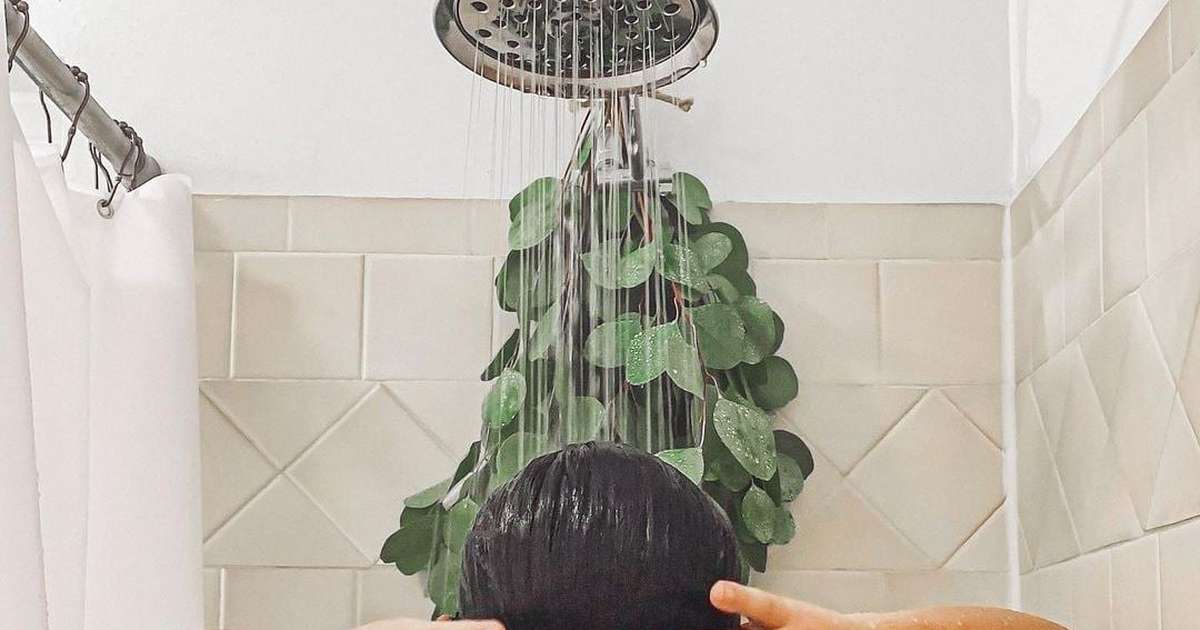 ritual de bem-estar chuveiro