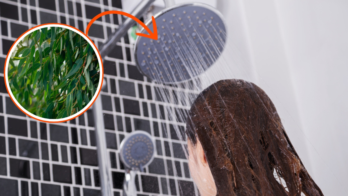 aroma natural banheiro