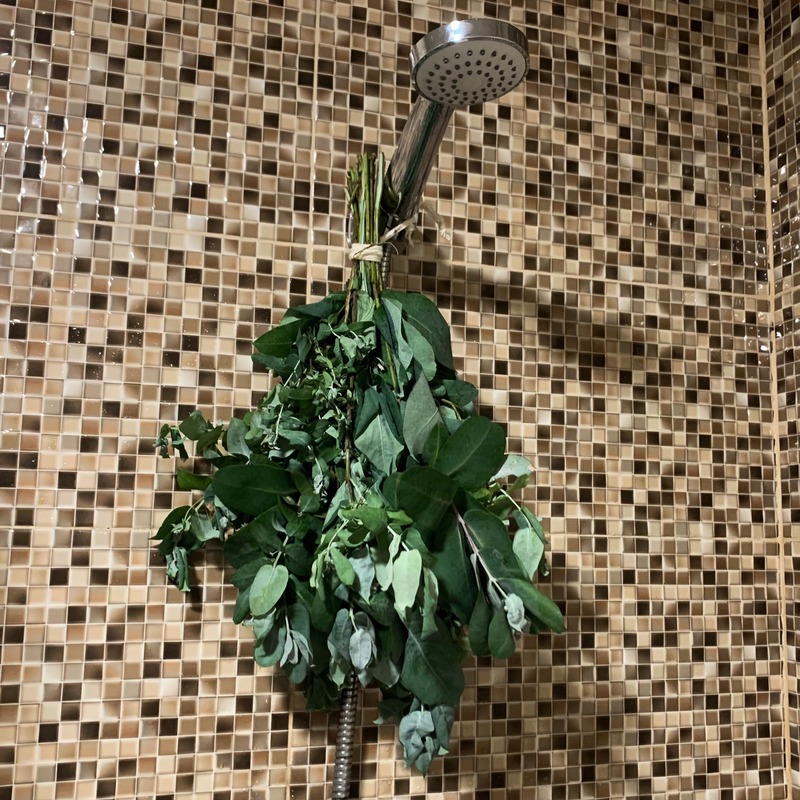 como usar eucalipto no banho