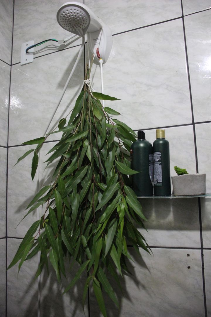 aromaterapia no chuveiro