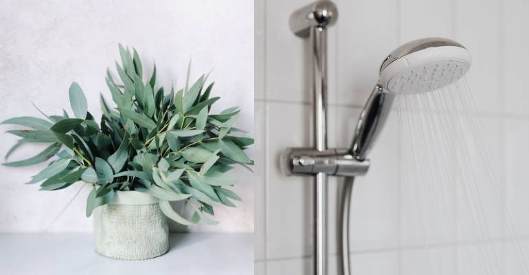 spa em casa com eucalipto