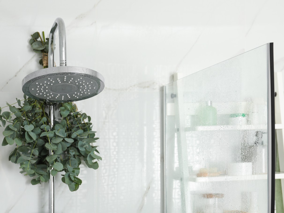 duração ramo eucalipto chuveiro