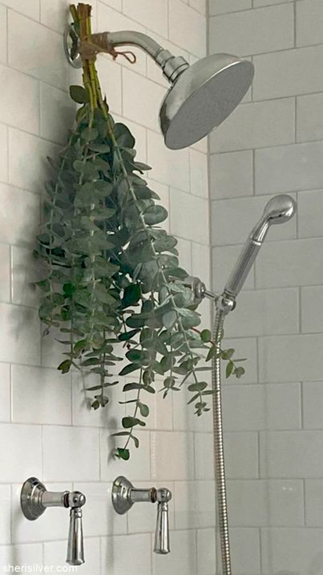 eucalipto e lavanda no banho