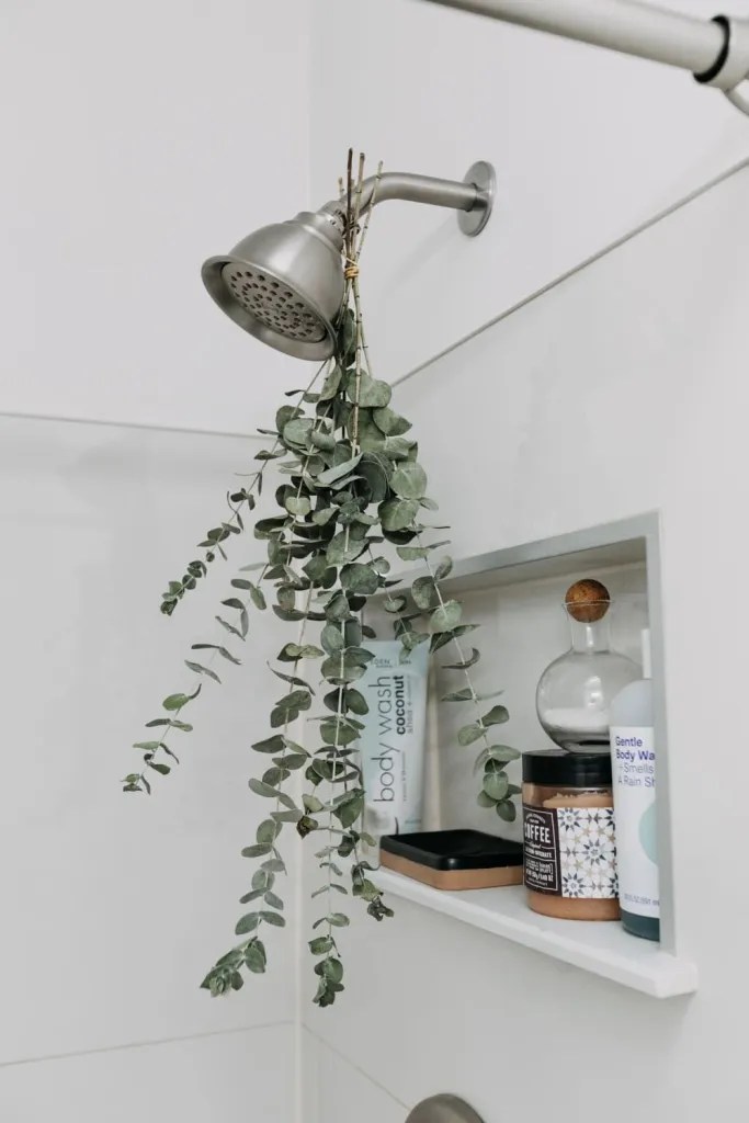 ritual de bem-estar chuveiro