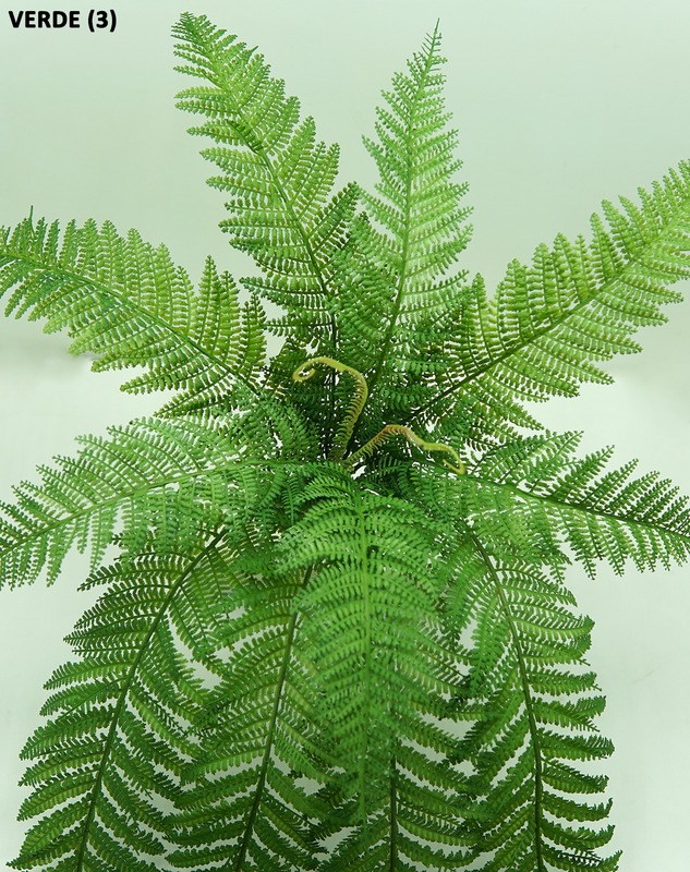 Cultivo de Davallia fejeensis