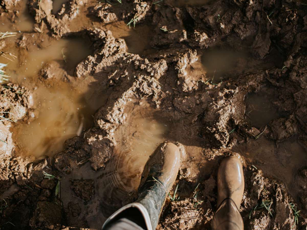 o que significa sonhar com lixo