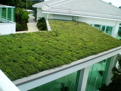 telhado verde benefícios brasil