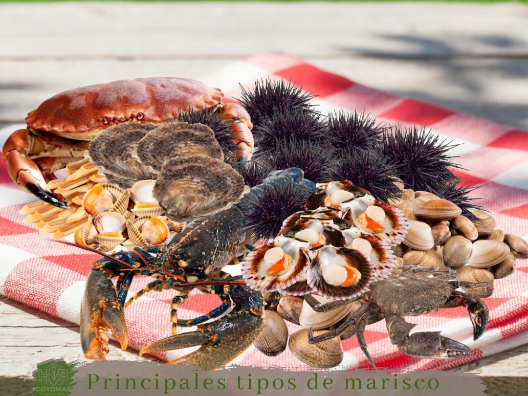 mariscos e seus nomes