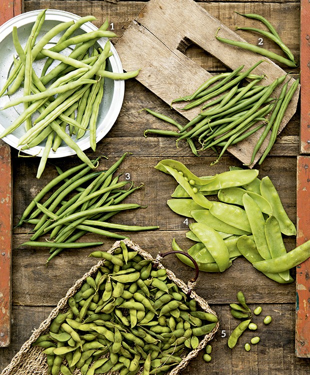 melhores tipos de vagem para salada