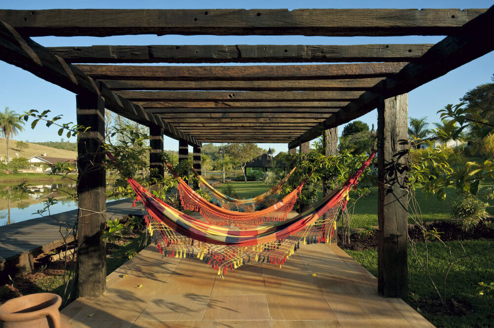 trepadeira para pergolado