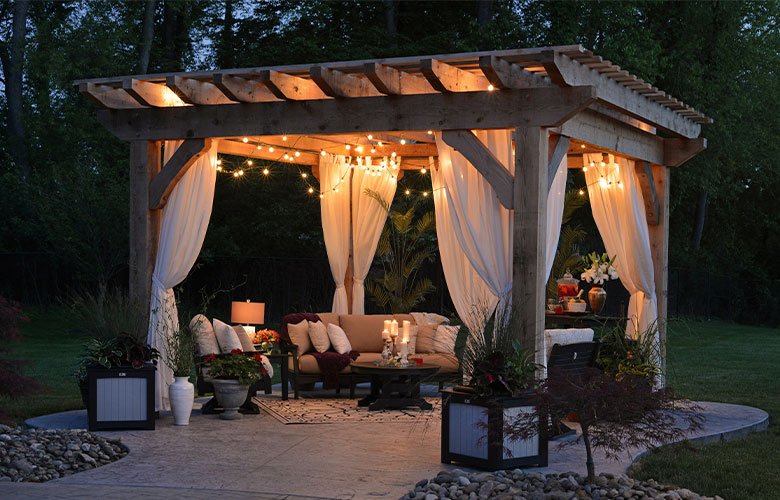 trepadeira jasmim do poeta para pergolado