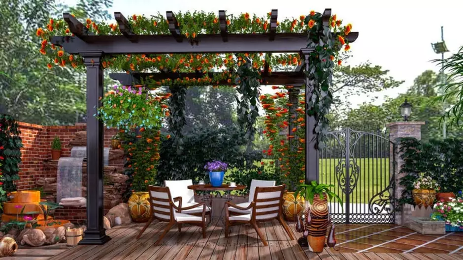 quanto custa trepadeira para pergolado