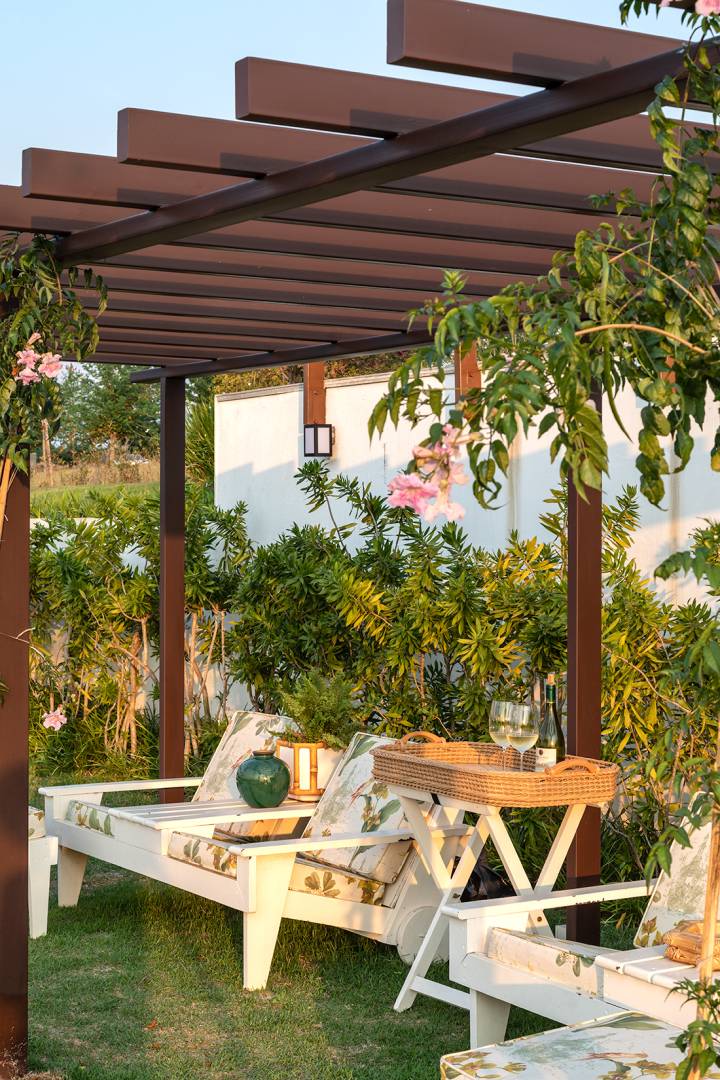 erros comuns ao escolher trepadeiras para pergolado