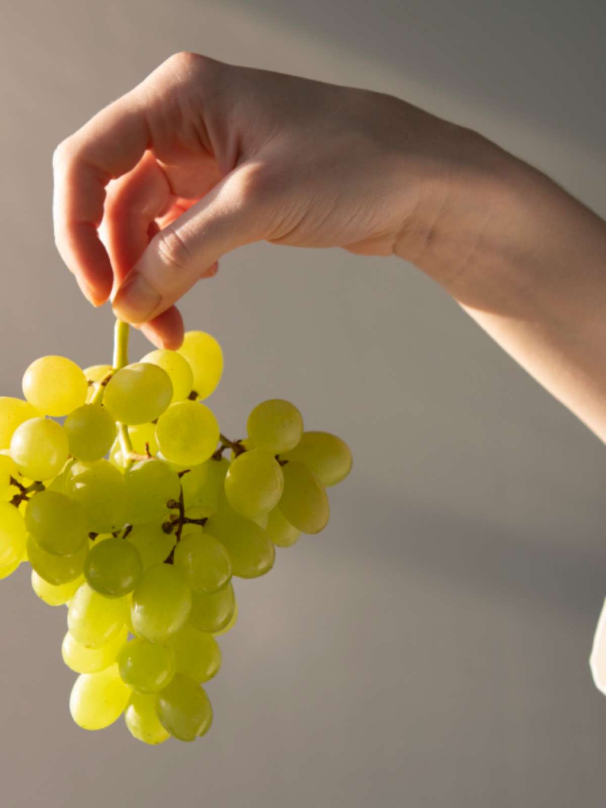 origem do ritual das uvas