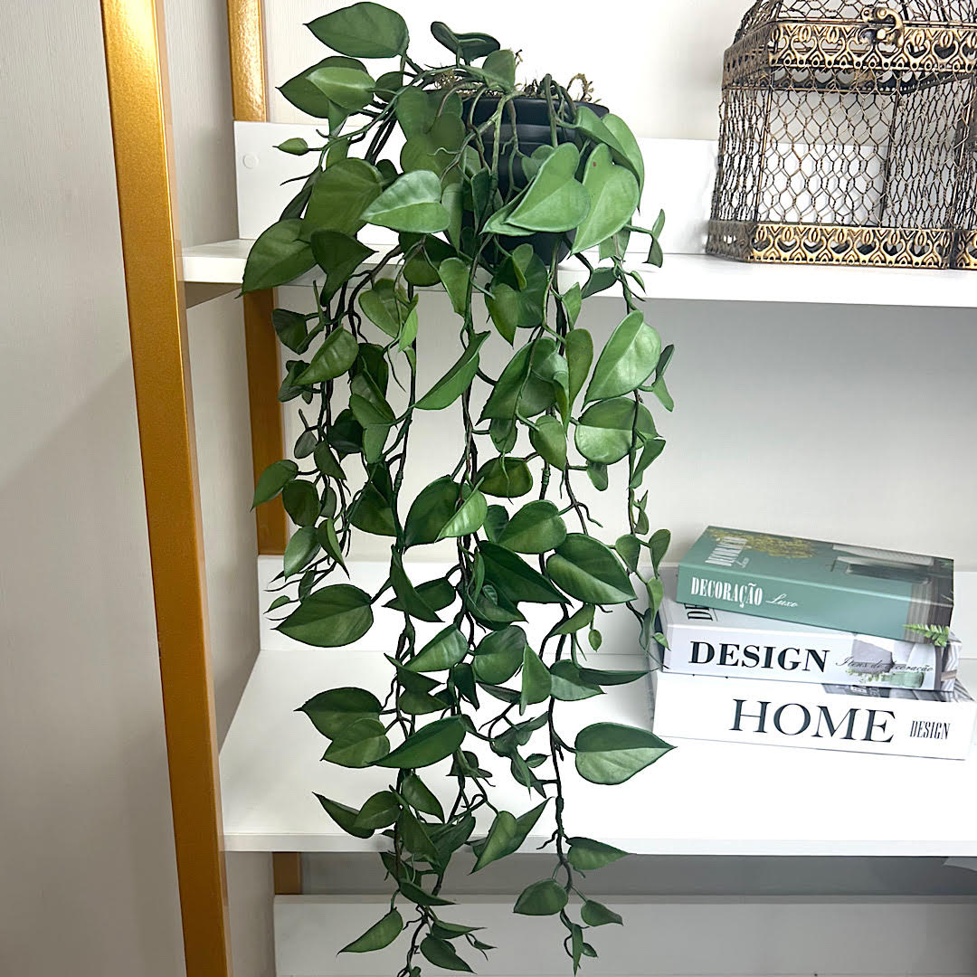 vaso para jiboia pendente