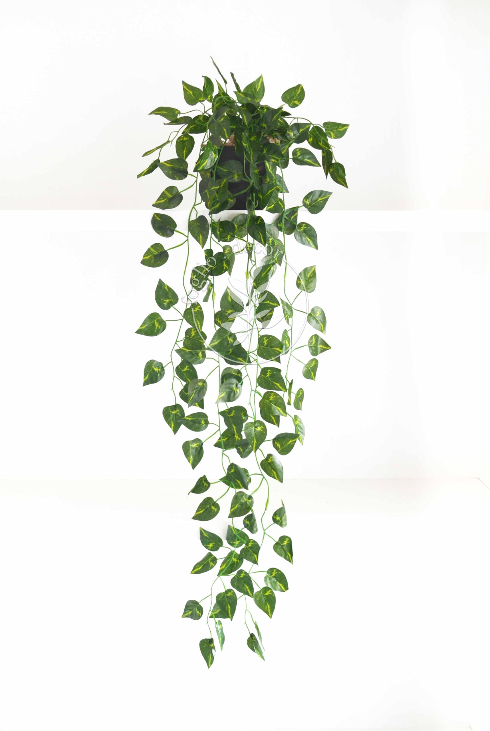 suporte para vaso de jiboia