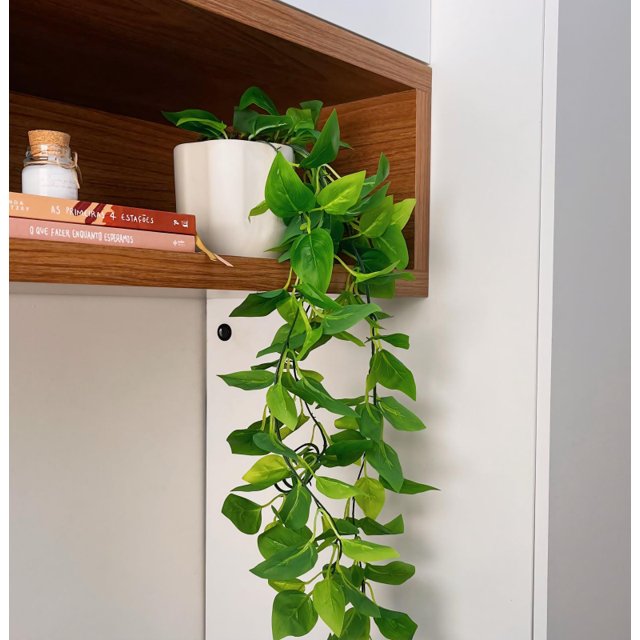 kit plantio jiboia vaso