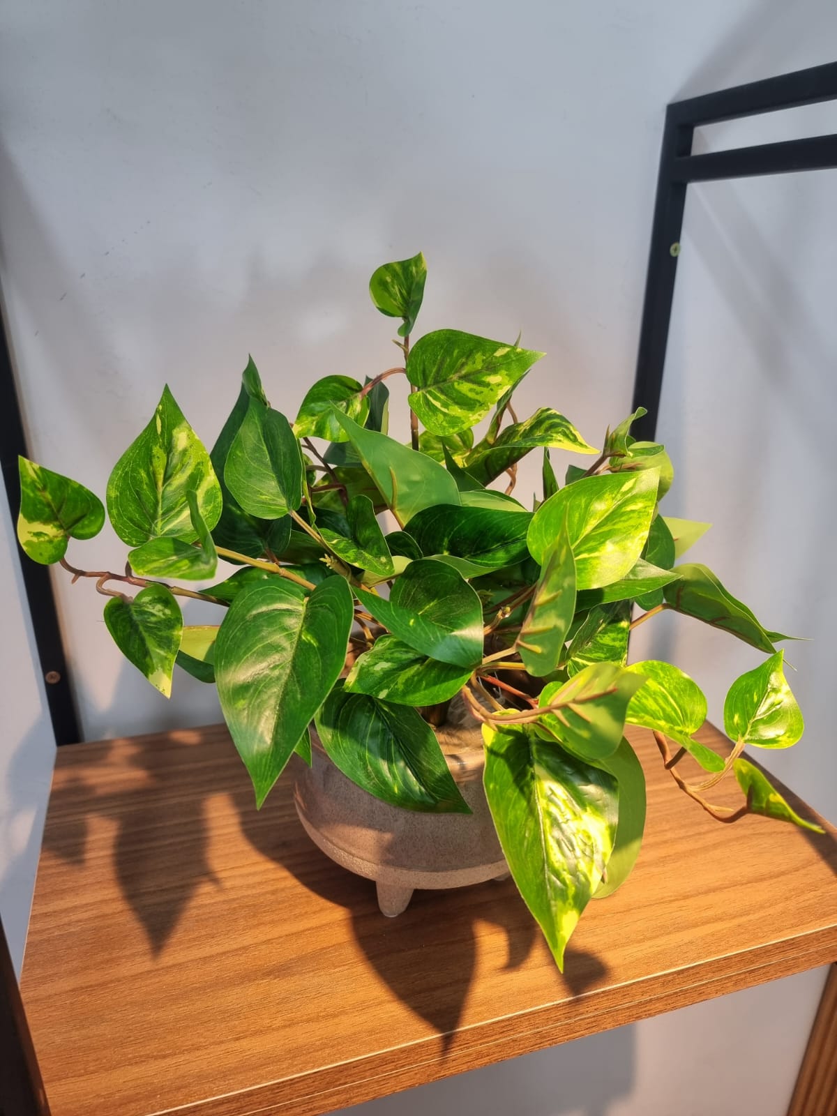 suporte para vaso de jiboia