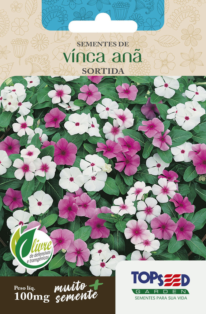 tipos de flores que florescem o ano todo