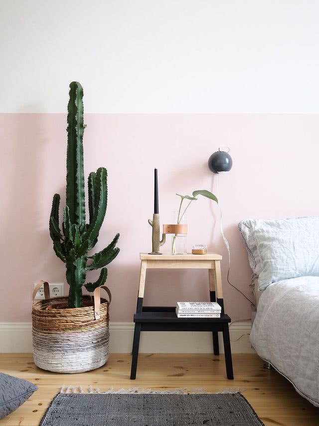 Feng Shui cactos