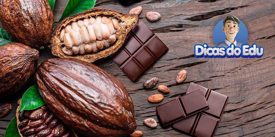 chocolate para cães e gatos