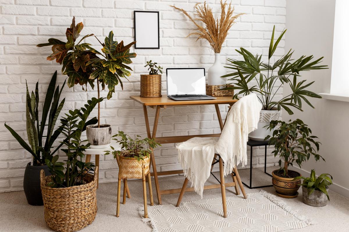 jardim vertical em casa
