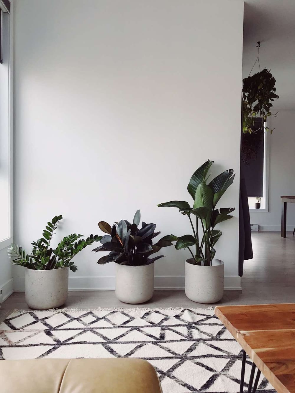 jardim vertical em casa