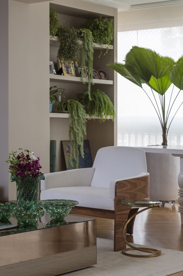 plantas de baixa manutenção