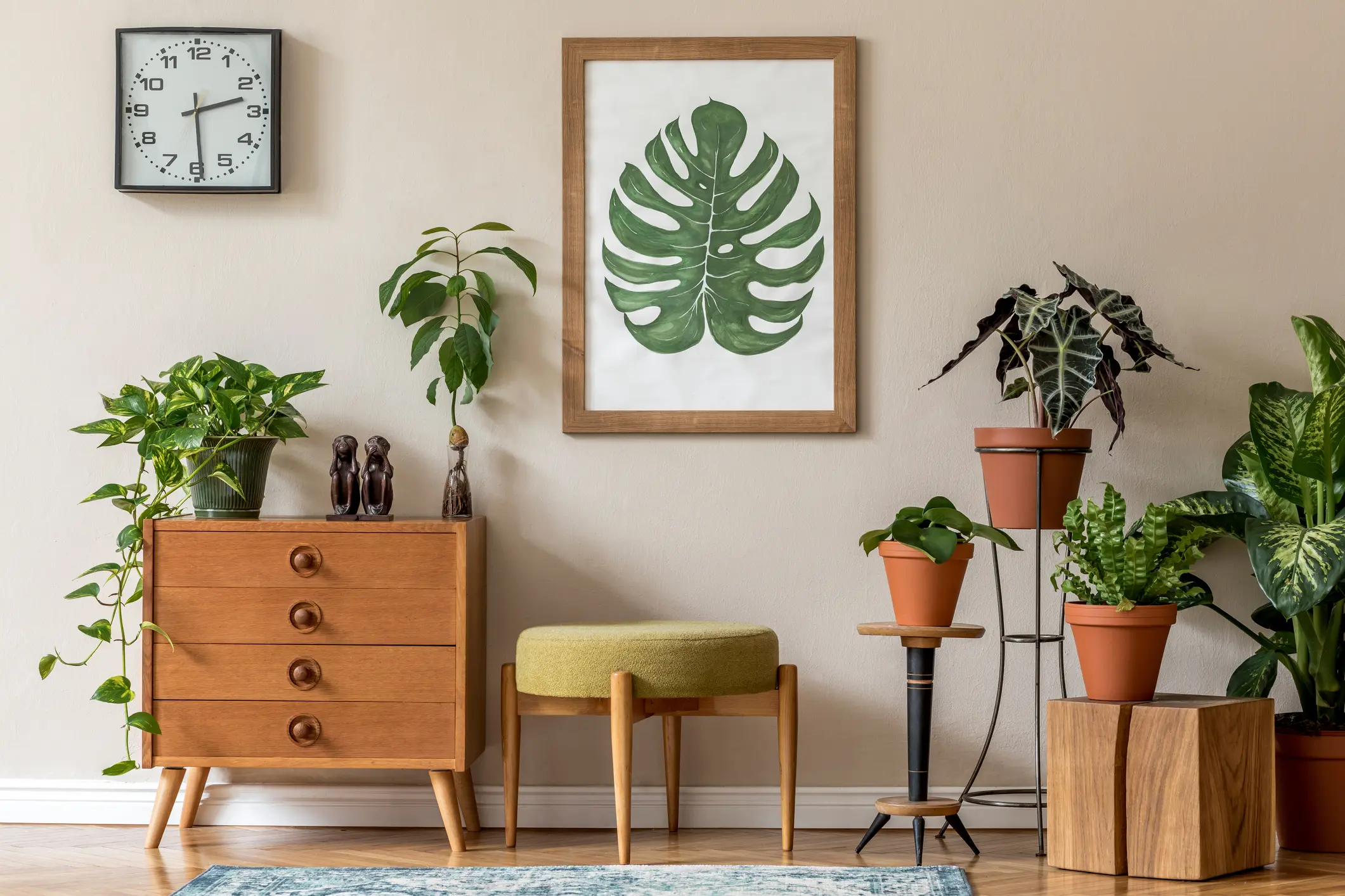 estilos de decoração com plantas