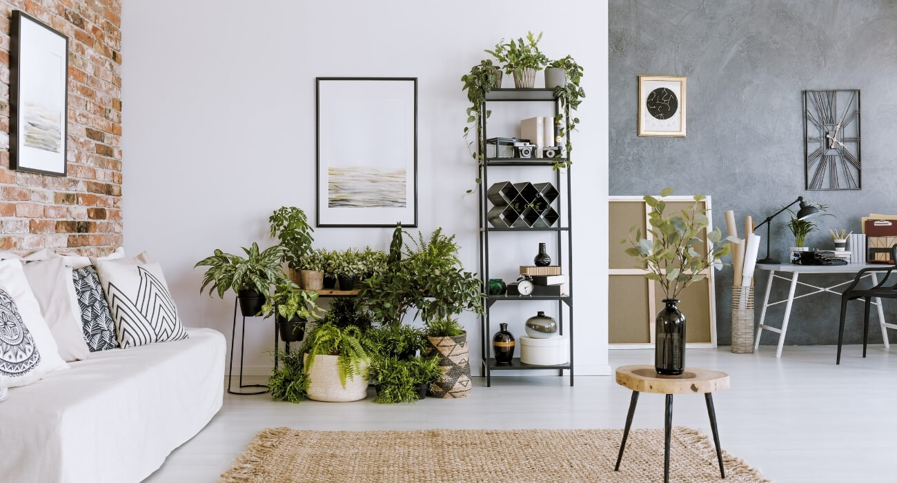 plantas que purificam o ar