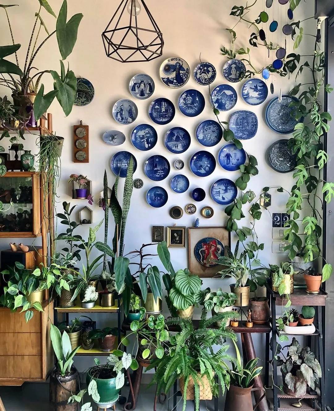 decoração com suculentas