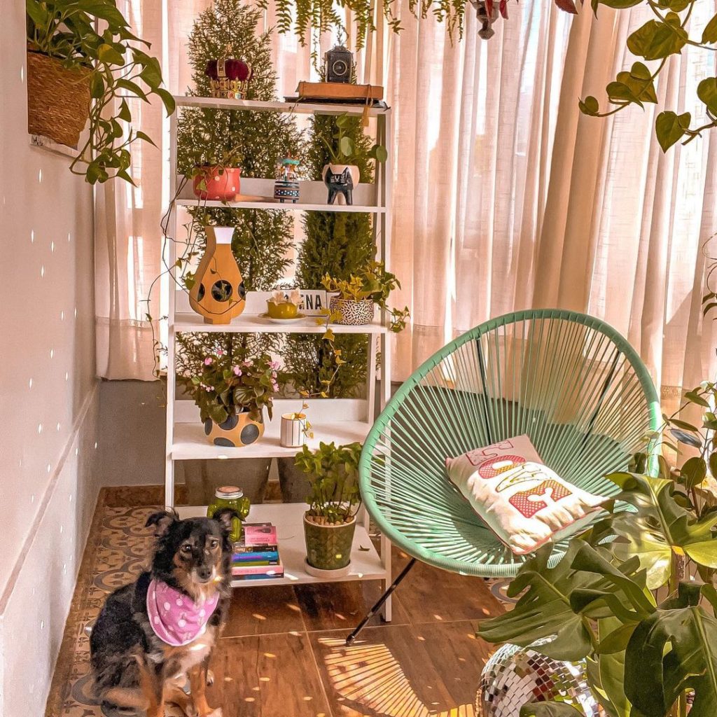 plantas para ambientes com pouca luz