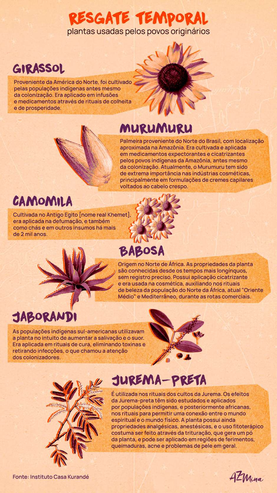 ervas curativas indígenas nomes
