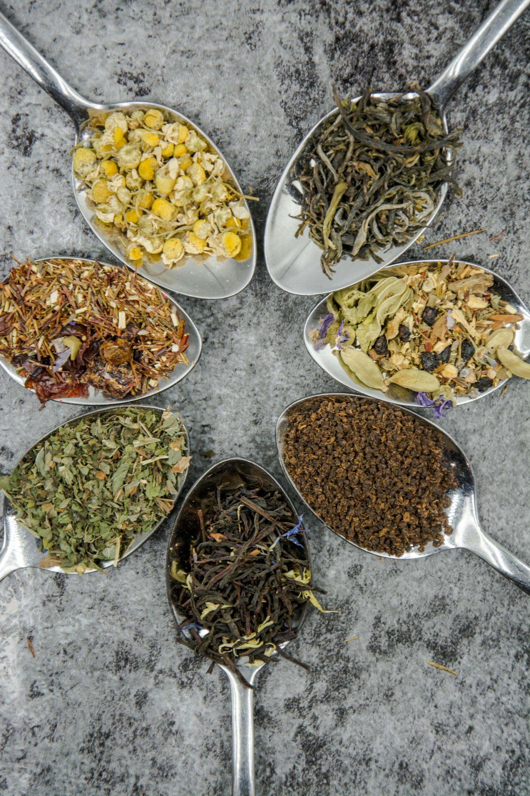 plantas medicinais dos índios