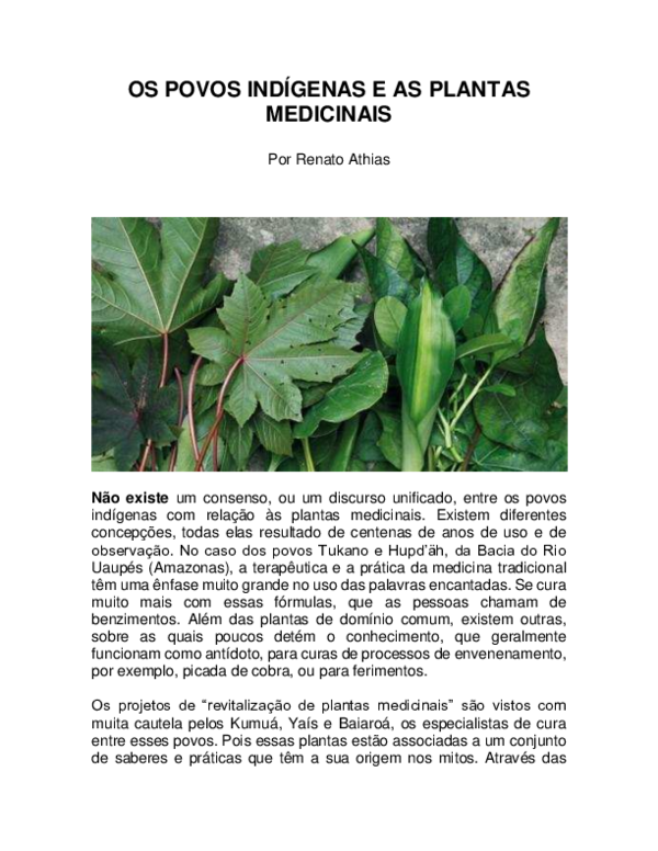 nomes de plantas com propriedades medicinais indígenas