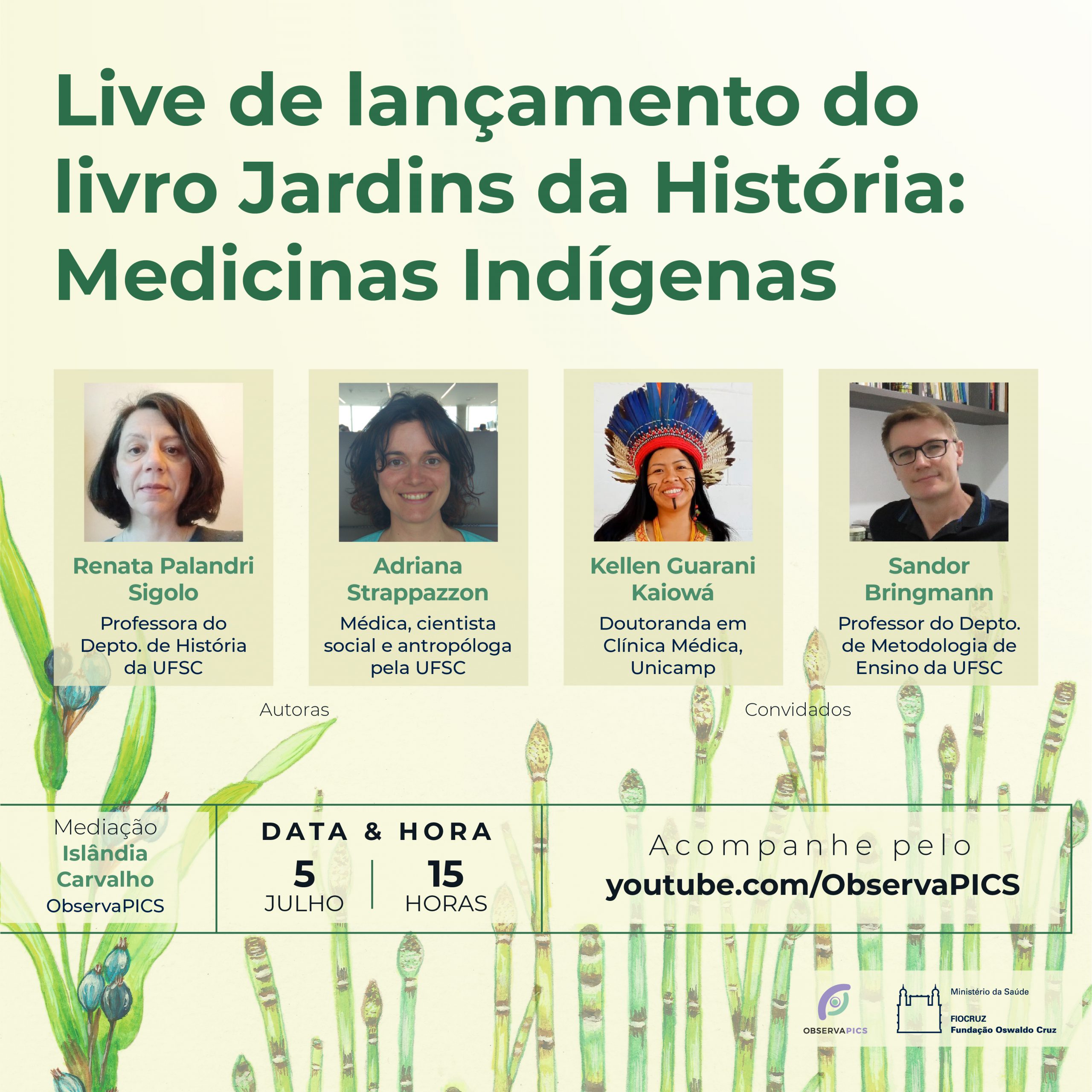cura com plantas indígenas