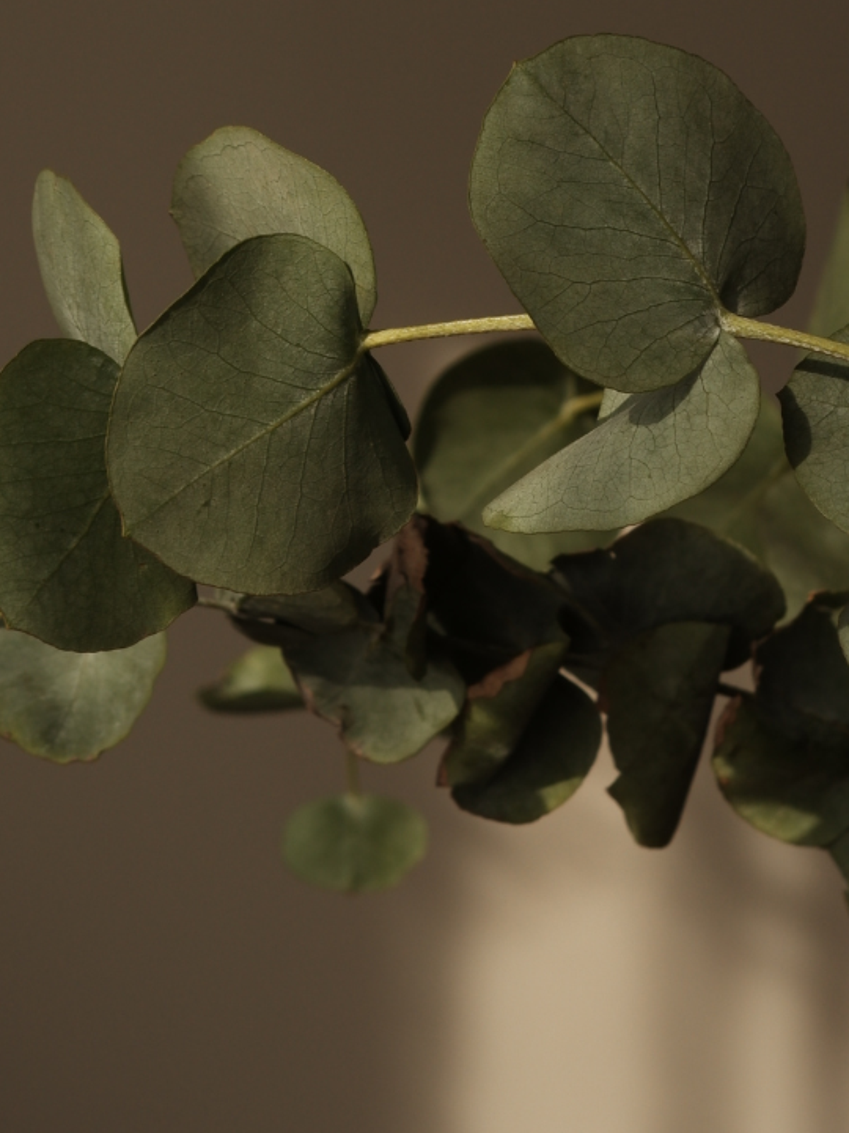 diy banheiro perfumado