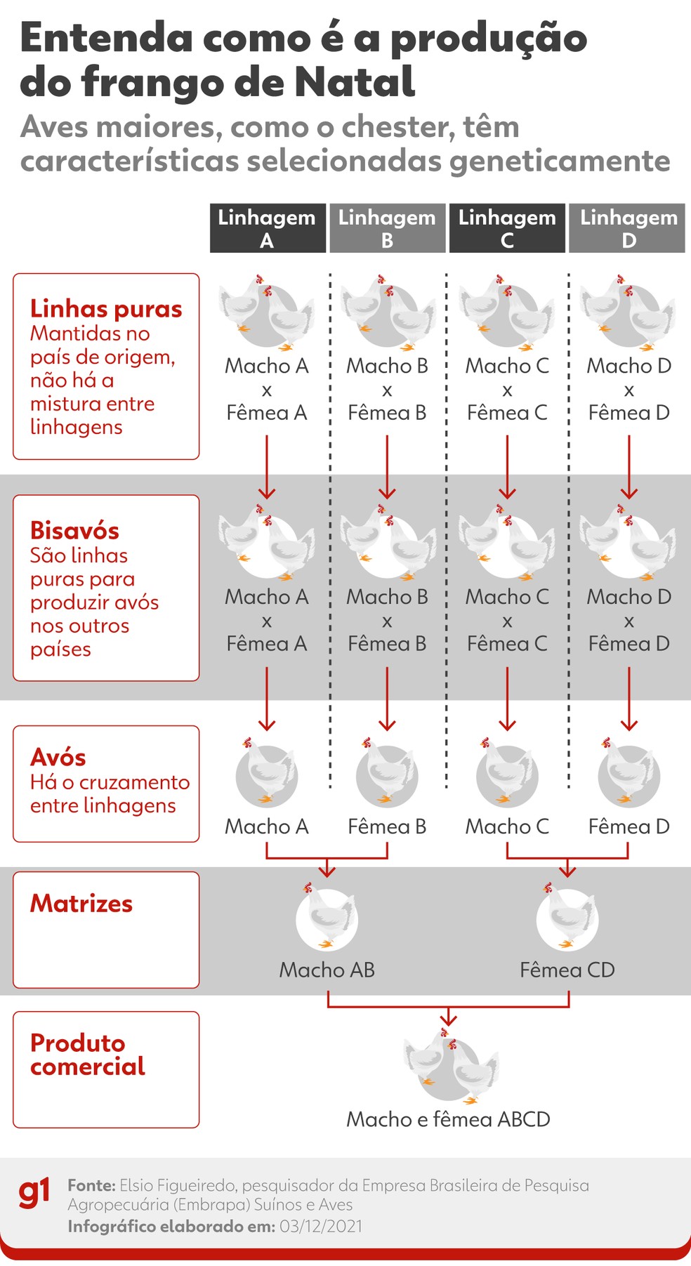 frango especial para festas