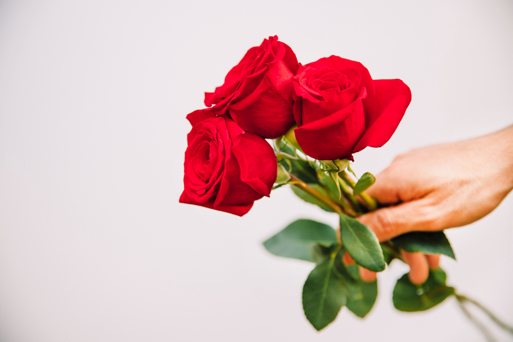 flor de amor planta