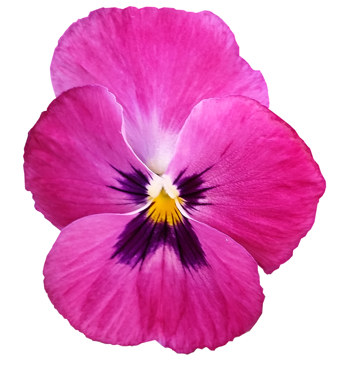 música flor de amor