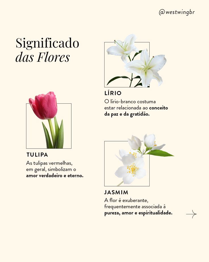 qual flor significa amor verdadeiro